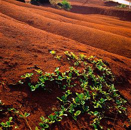 《爱氏物语》：在手绘像素的柔光中，抵达人性与AI交汇的边界